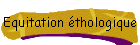 Equitation thologique
