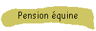 Pension quine